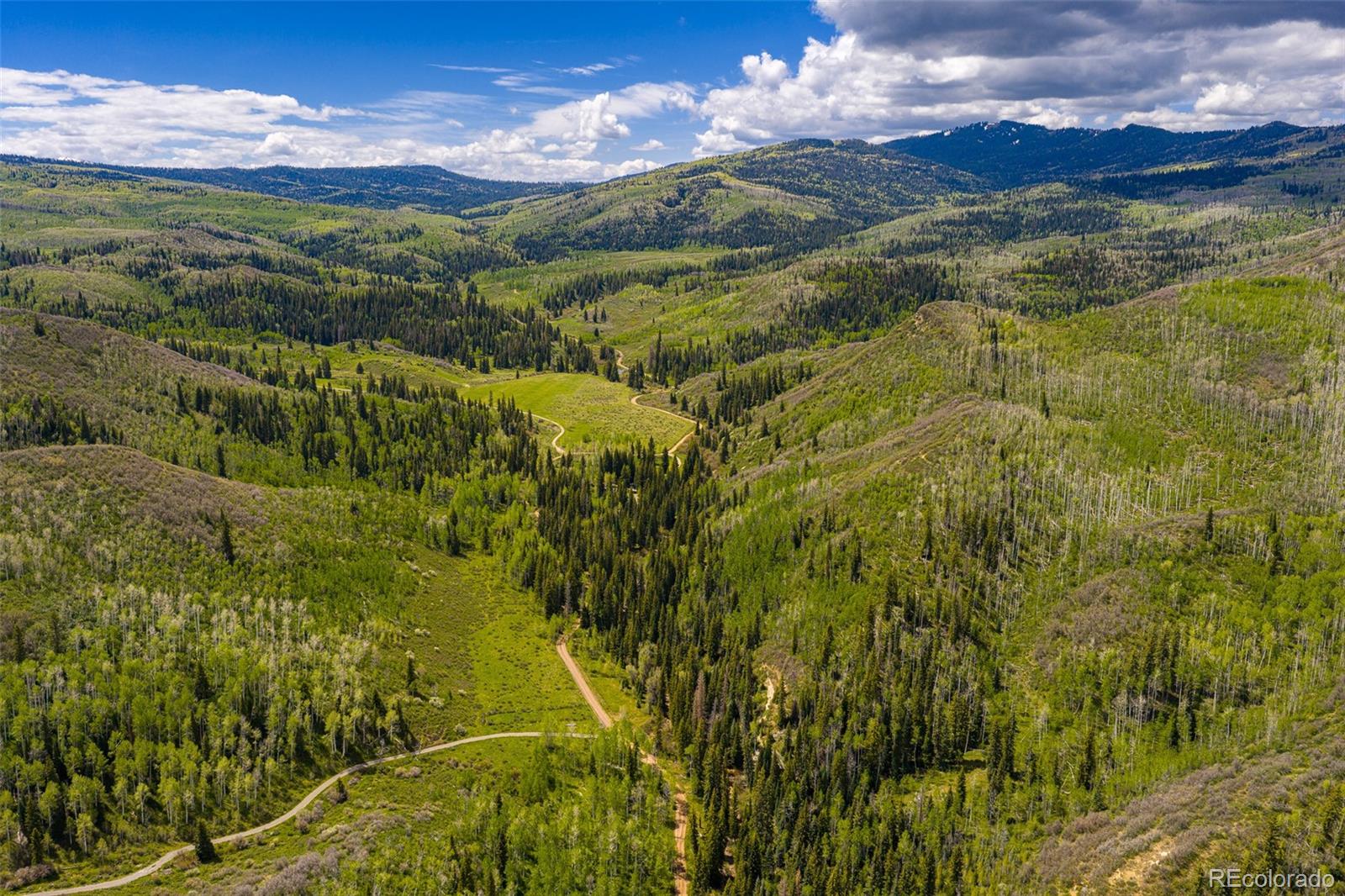 12123 County Road New Castle, CO 81647 - Photo 6 of 30