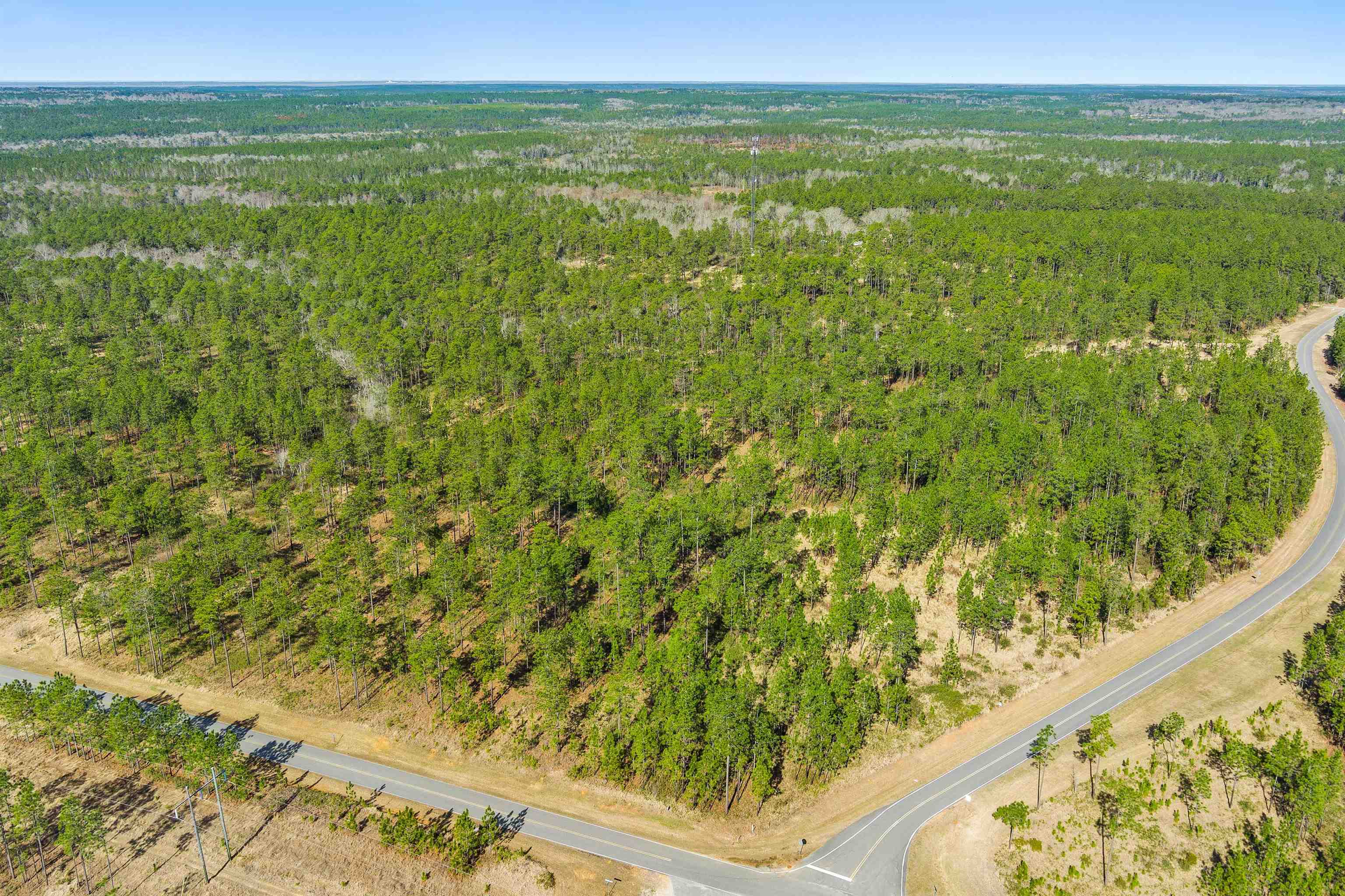 0 Robert White Road Bay Minette, AL 36507 - Photo 3 of 23
