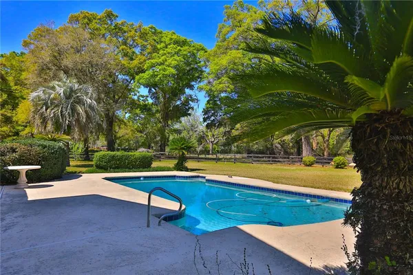 a view of swimming pool with a yard