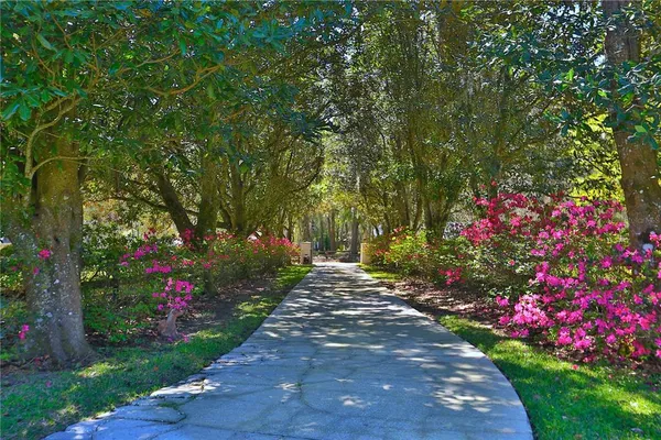 a view of a garden with flowers and trees