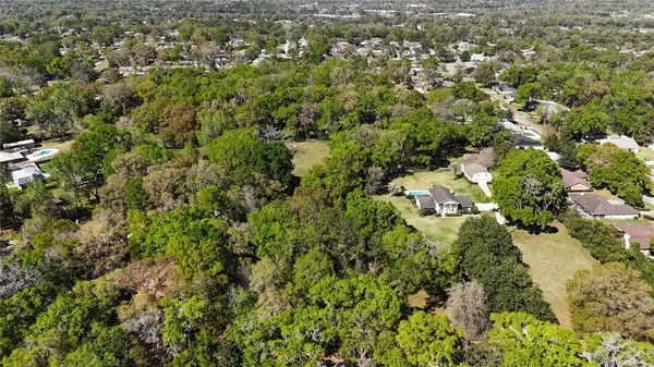 view of a city with lots of trees