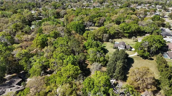 a view of a garden with plants