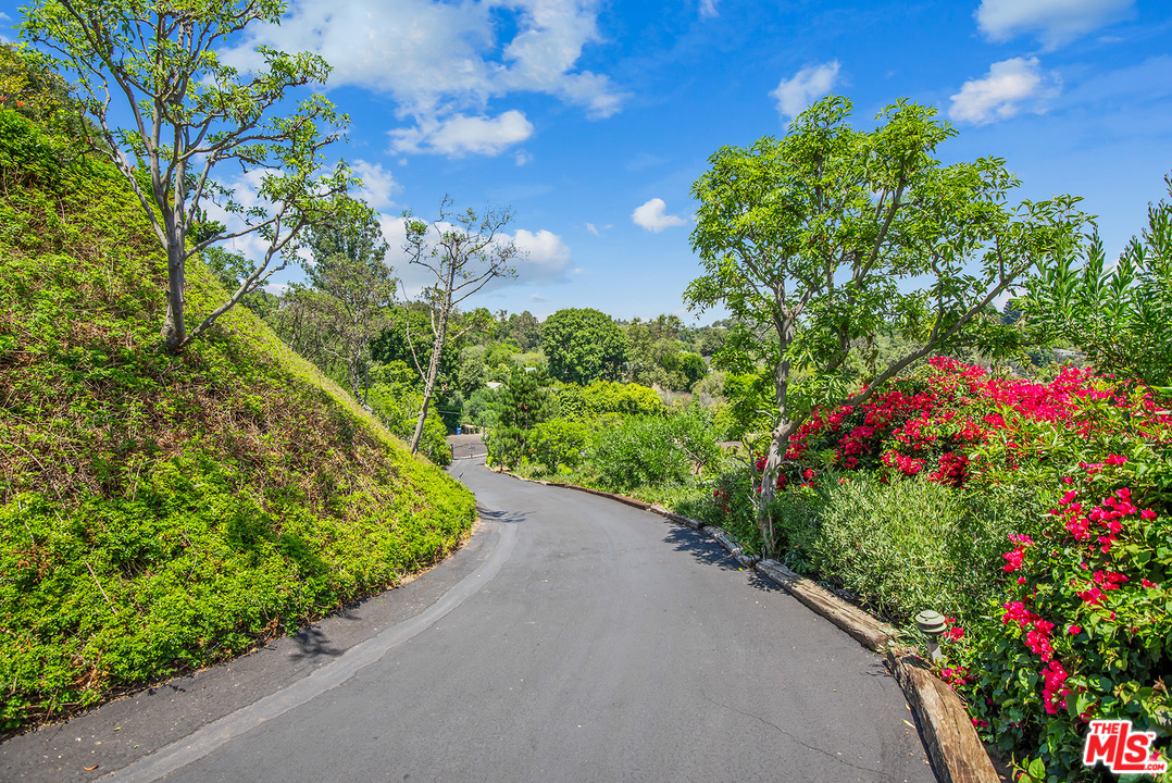 13238 Riviera Ranch Road Los Angeles, CA 90049 - Photo 4 of 28 a view of a garden with flower plants