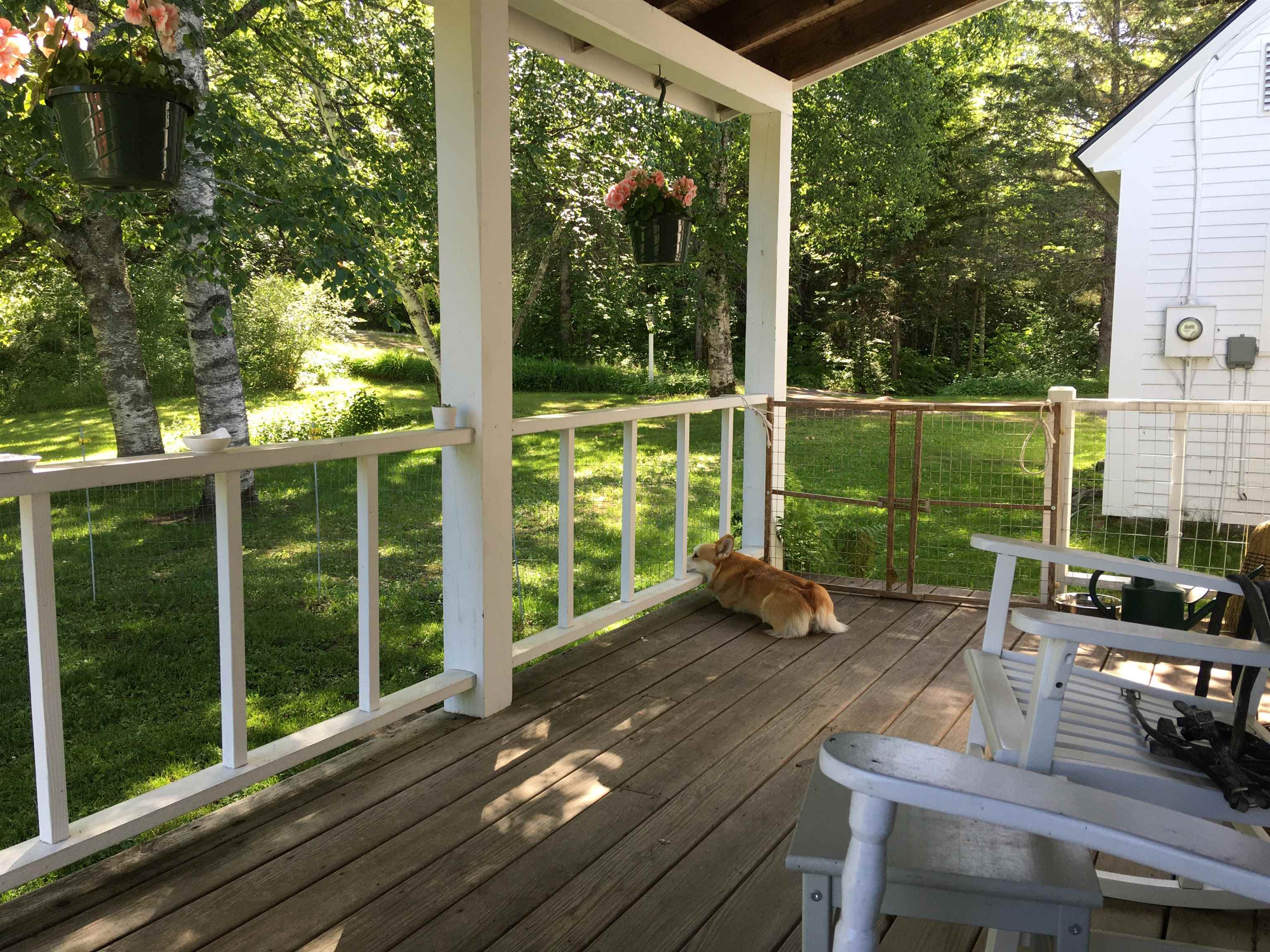5244 Bayley-Hazen Road Peacham, VT 05873 - Photo 39 of 60 Gallery Image 39