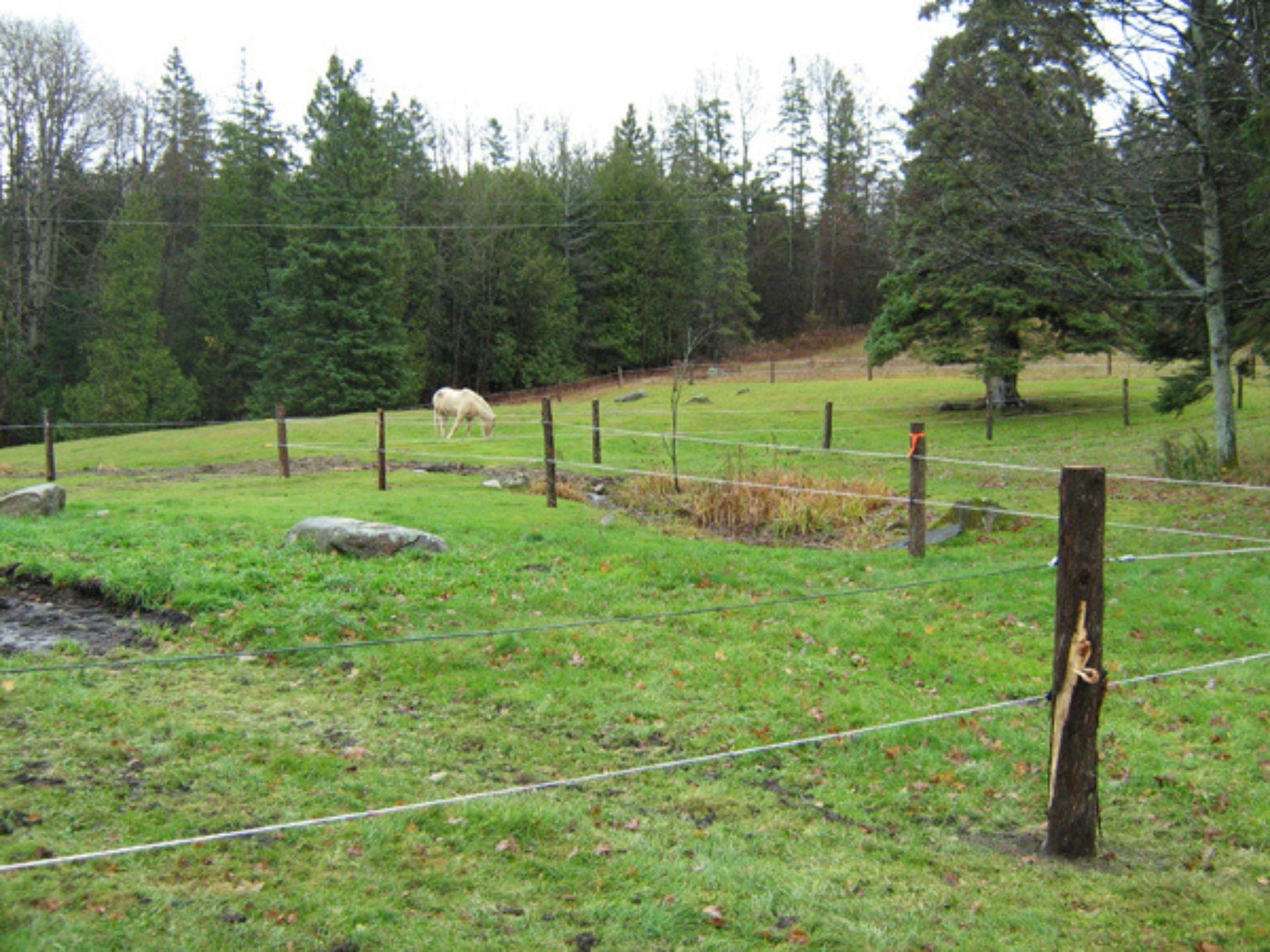 5244 Bayley-Hazen Road Peacham, VT 05873 - Photo 44 of 60 Gallery Image 44