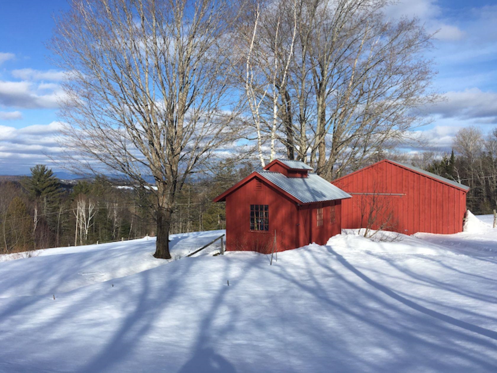 5244 Bayley-Hazen Road Peacham, VT 05873 - Photo 50 of 60 Gallery Image 50