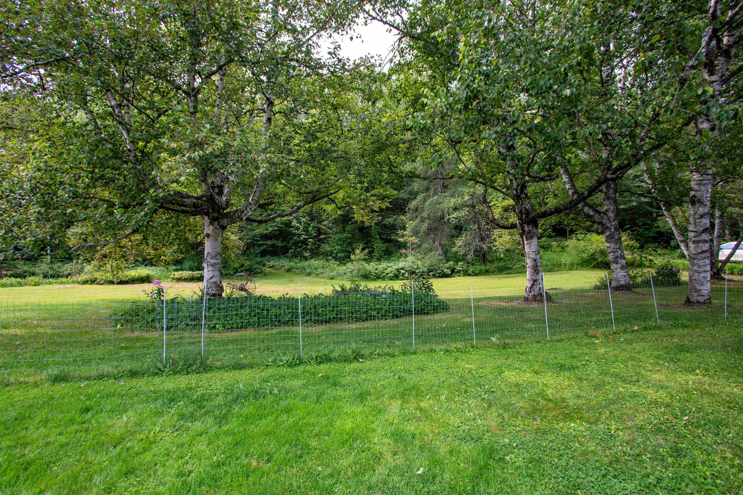 5244 Bayley-Hazen Road Peacham, VT 05873 - Photo 55 of 60 Gallery Image 55