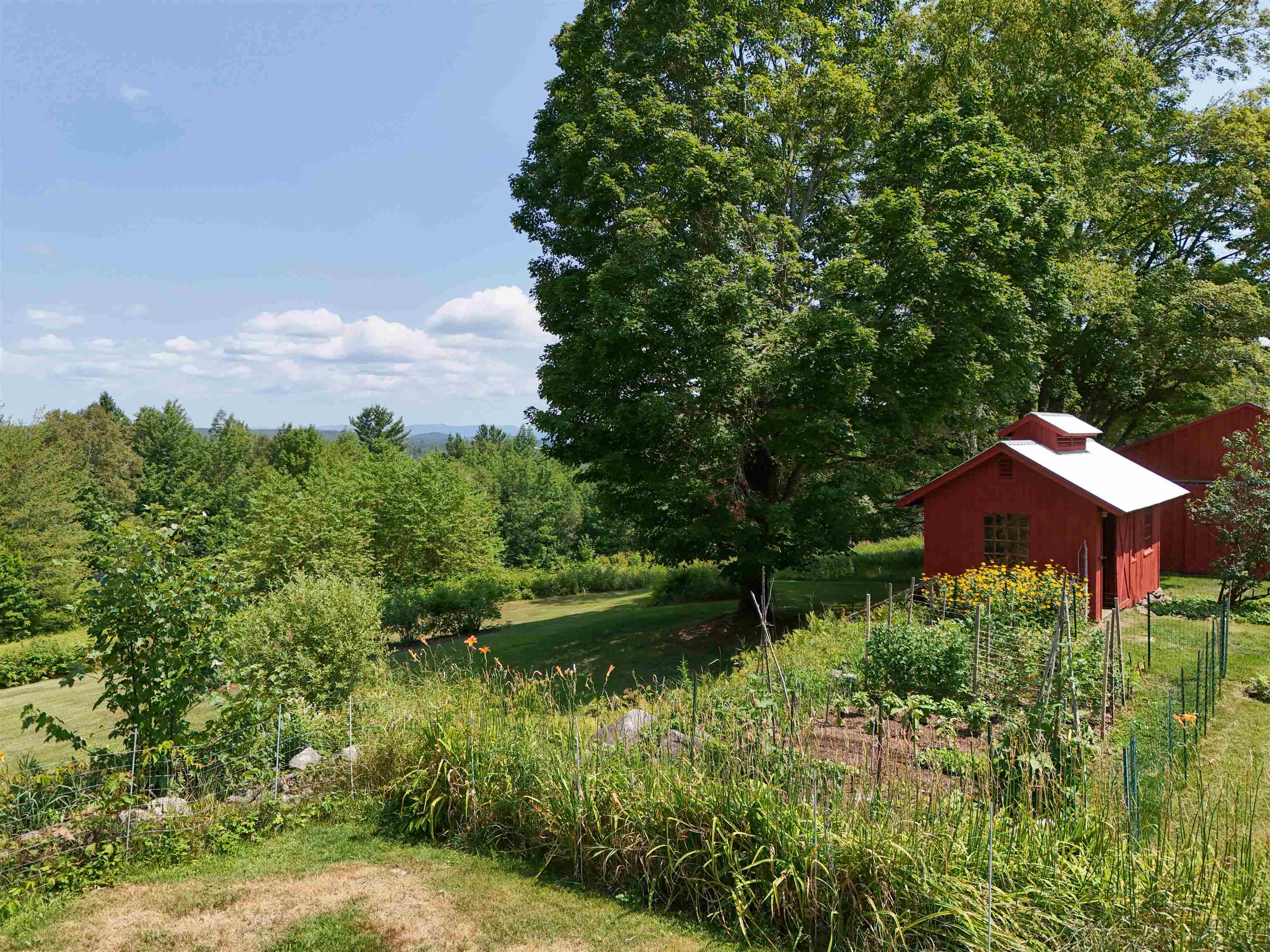 5244 Bayley-Hazen Road Peacham, VT 05873 - Photo 6 of 60 Gallery Image 6