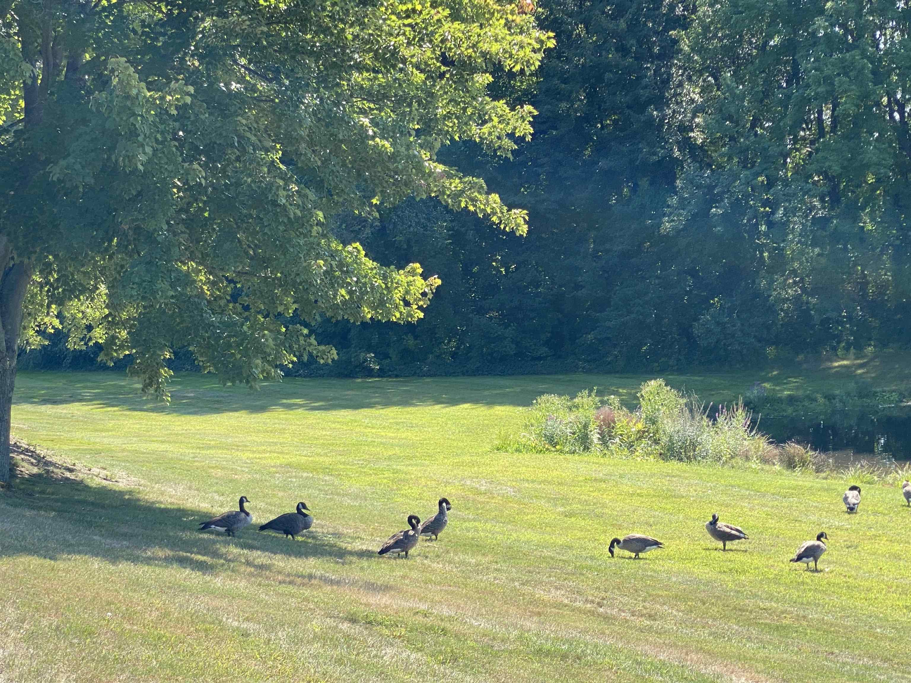 385 Huse Road, Unit 25 Manchester, NH 03103 - Photo 38 of 40