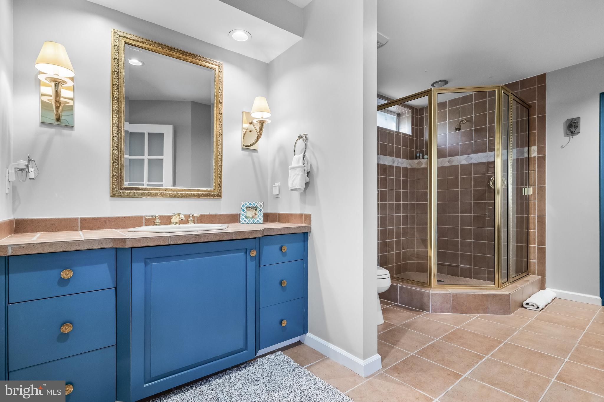 286 Chippewa Trail Medford Lakes, NJ 08055 - Photo 49 of 120