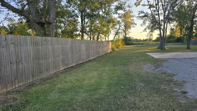 a view of backyard with tree