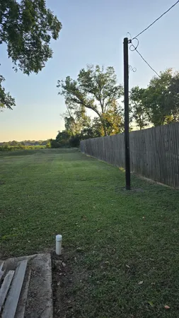 a view of a park with a tree