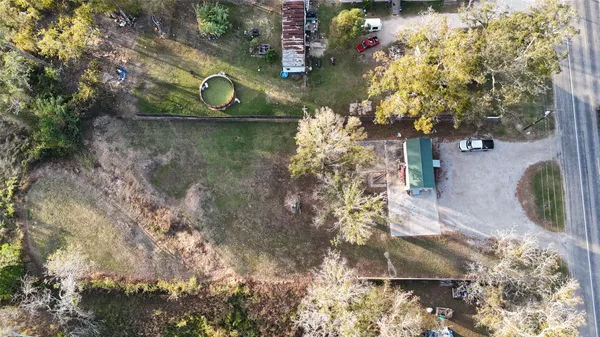 a view of backyard with tree
