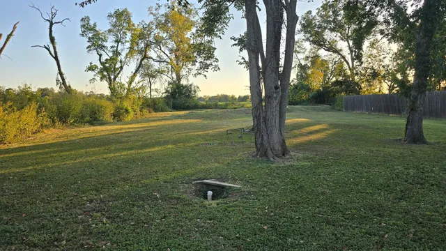 a view of a field with a tree