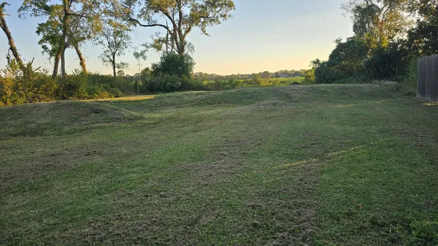 a view of a field with a tree