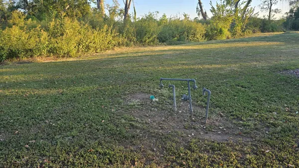 a view of a field with a tree