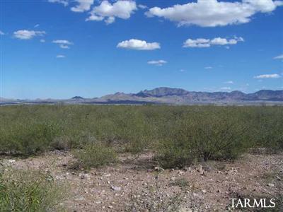 0 South Black Hawk Road San Simon, AZ 85632 - Photo 2 of 2