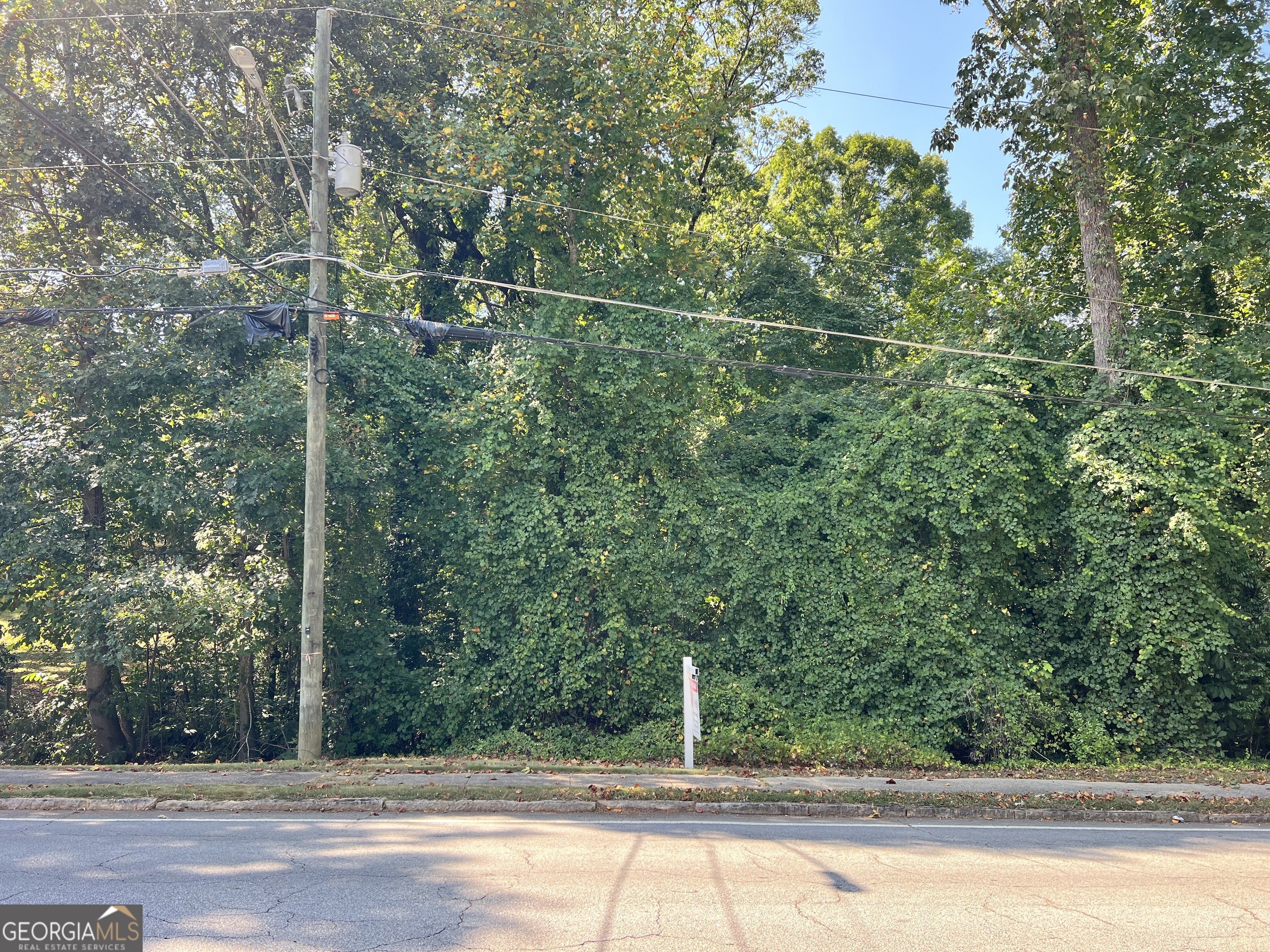 a view of a tree in a yard