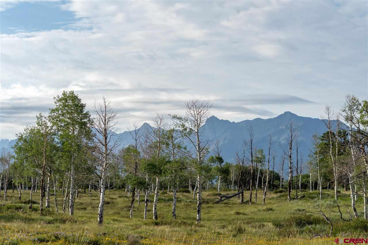 Tract 1 Panorama Lane Ridgway, CO 81430 - Photo 5 of 6