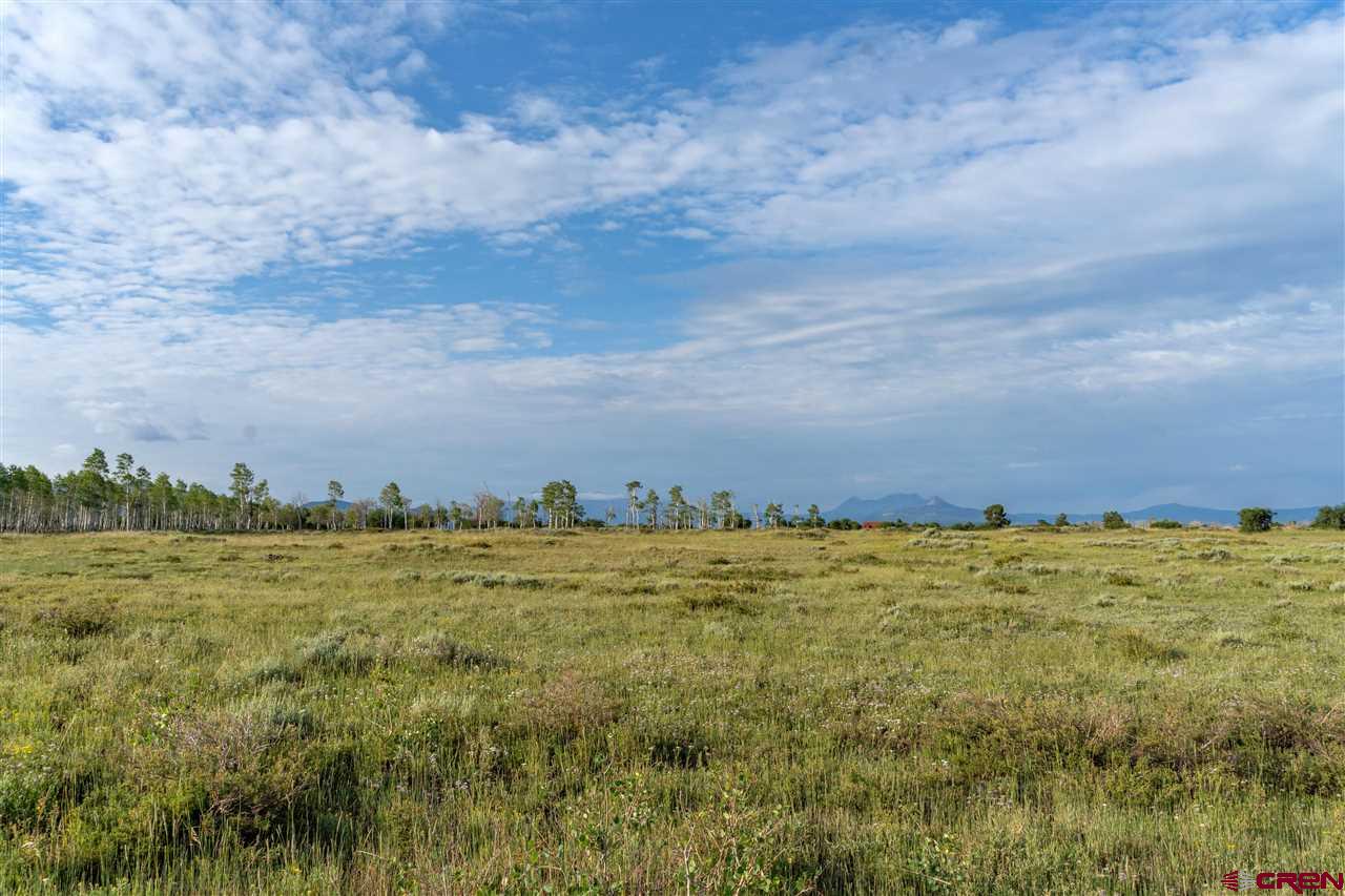 Tract 1 Panorama Lane Ridgway, CO 81430 - Photo 6 of 6