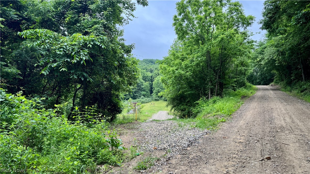 Marlott Run Road Kimbolton, OH 43749 - Photo 23 of 49