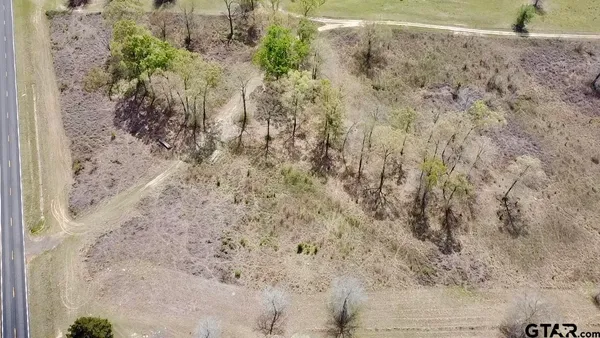 a view of a dry yard