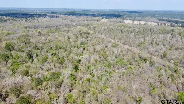 a view of a lake in middle of forest