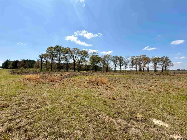 a view of dirt field with large trees