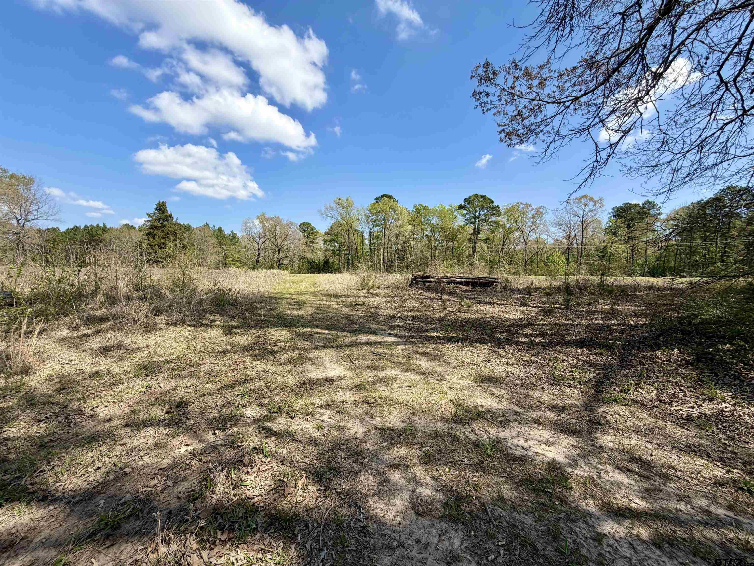 3001 W Marshall, TX 75670 - Photo 17 of 39 a view of dirt field with large trees