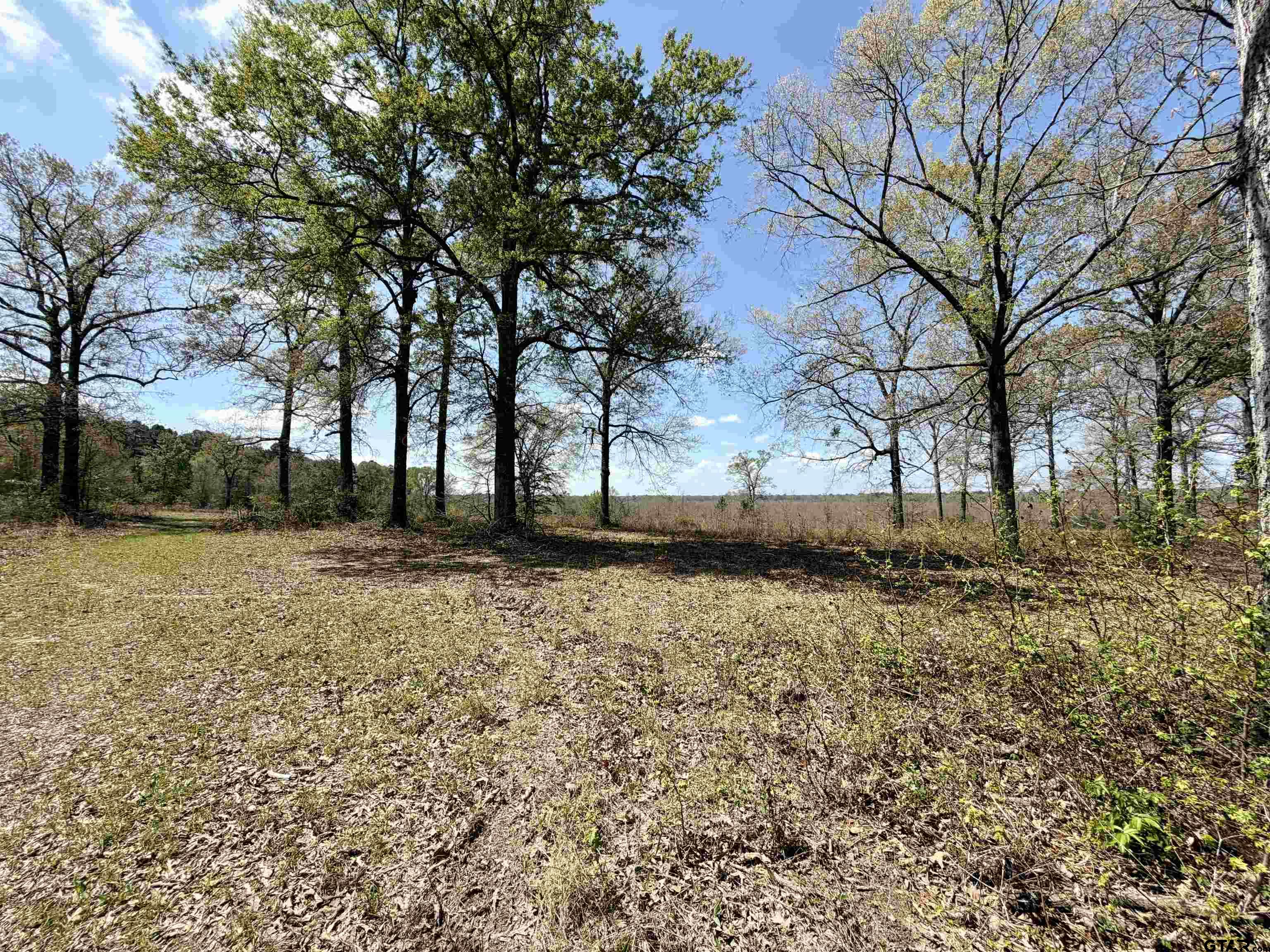 3001 W Marshall, TX 75670 - Photo 18 of 39 a view of yard with tree