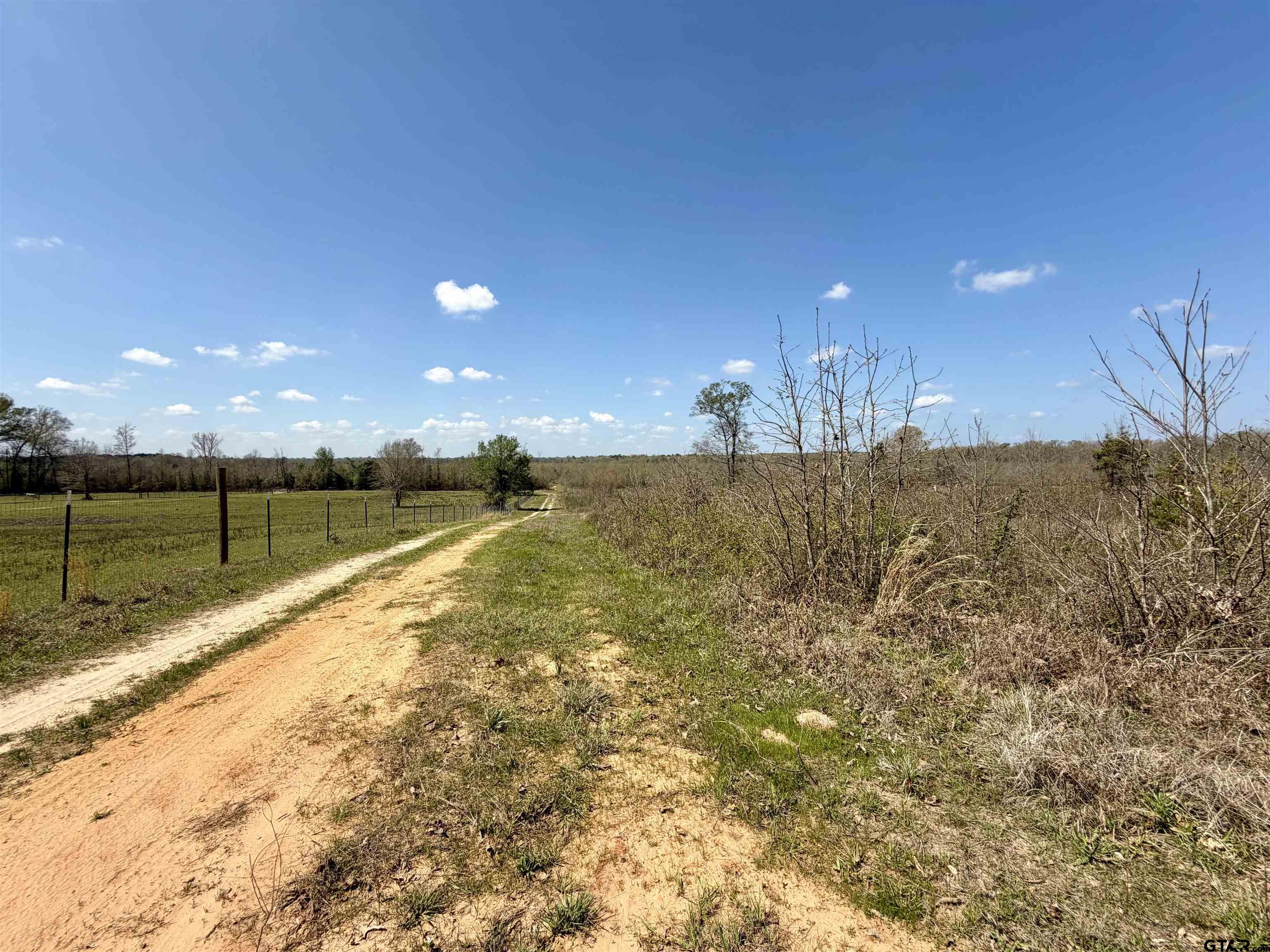 3001 W Marshall, TX 75670 - Photo 19 of 39 a view of a pathway with a yard