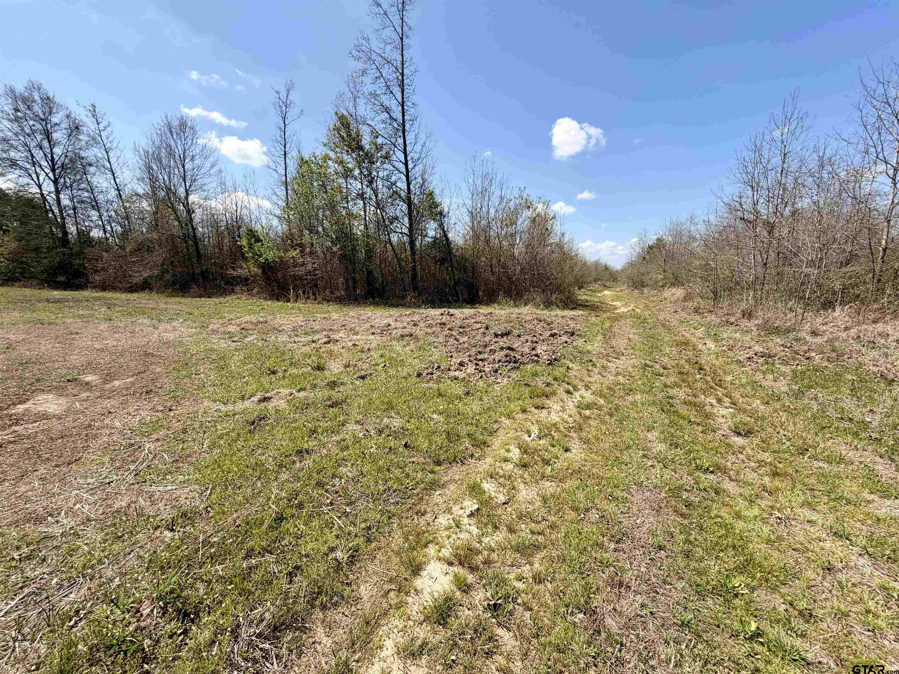3001 W Marshall, TX 75670 - Photo 20 of 39 a view of a yard with a house