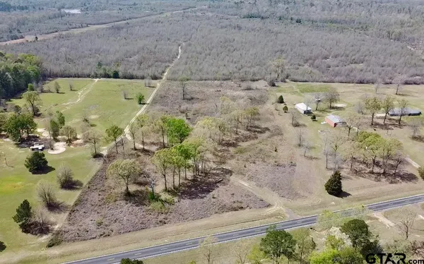 a view of a dry yard