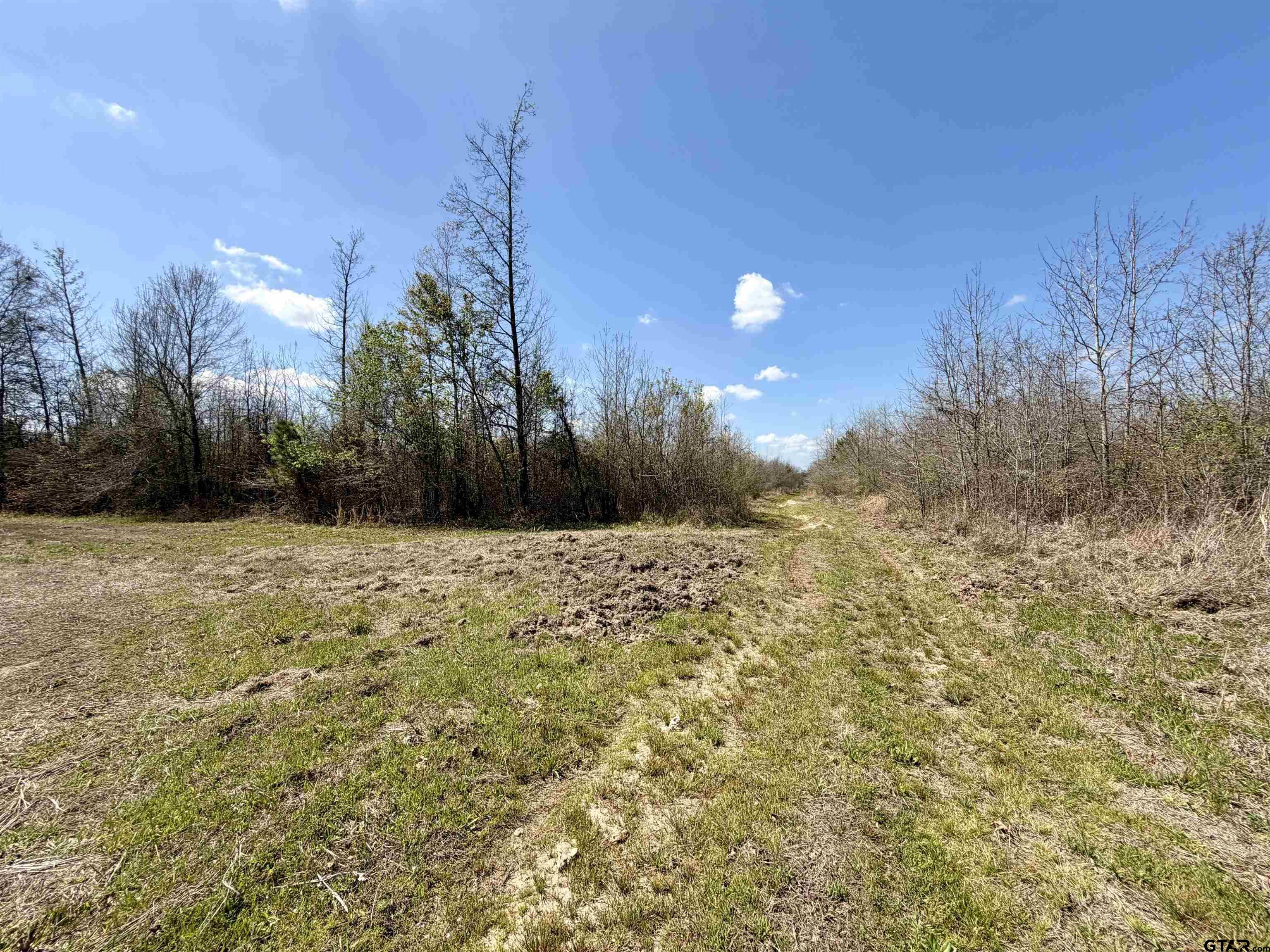 3001 W Marshall, TX 75670 - Photo 22 of 39 a view of a yard
