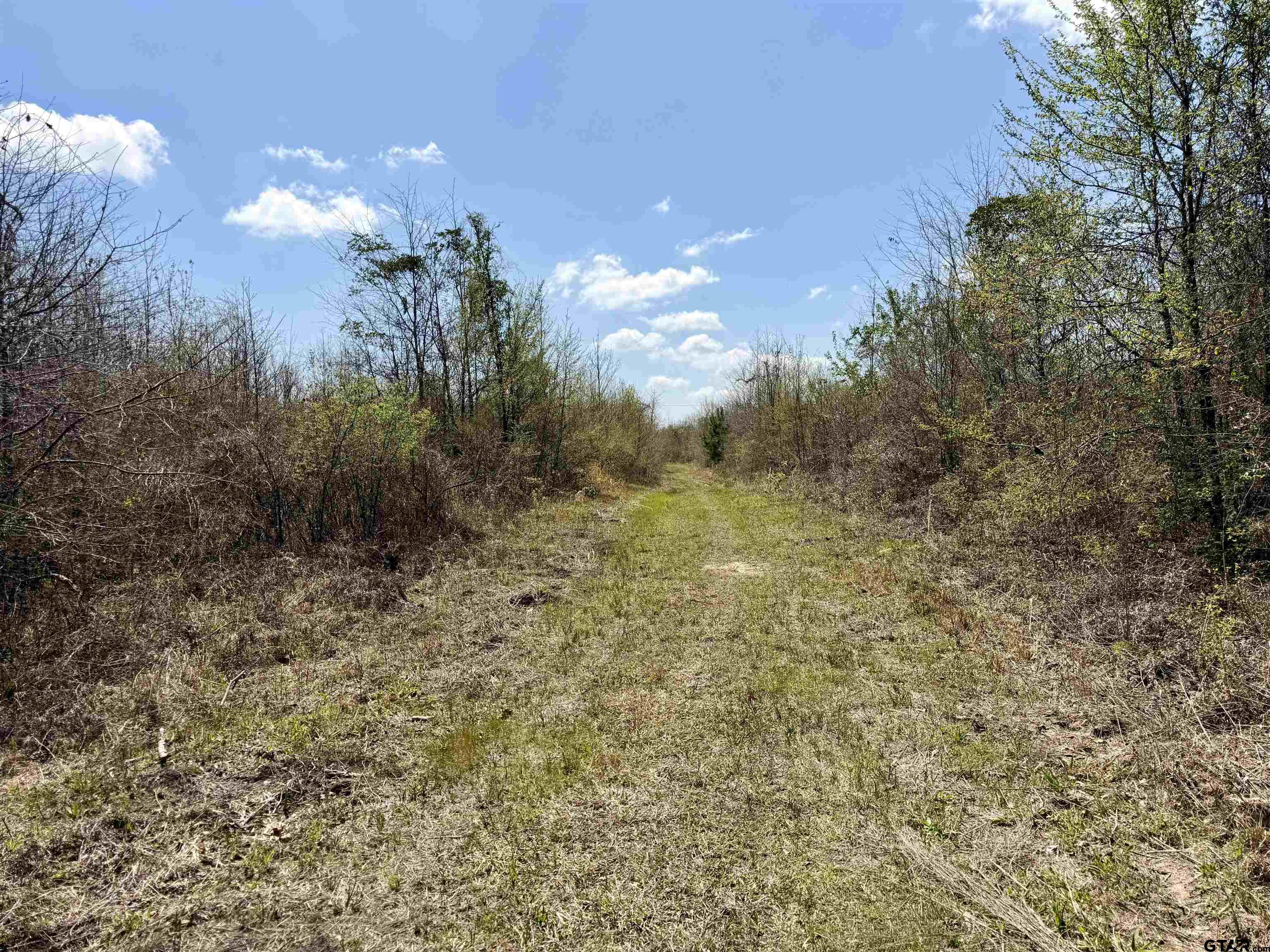3001 W Marshall, TX 75670 - Photo 24 of 39 a view of a golf course with green space