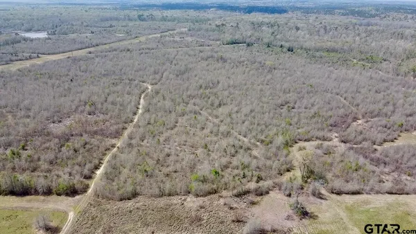 a view of a dry field
