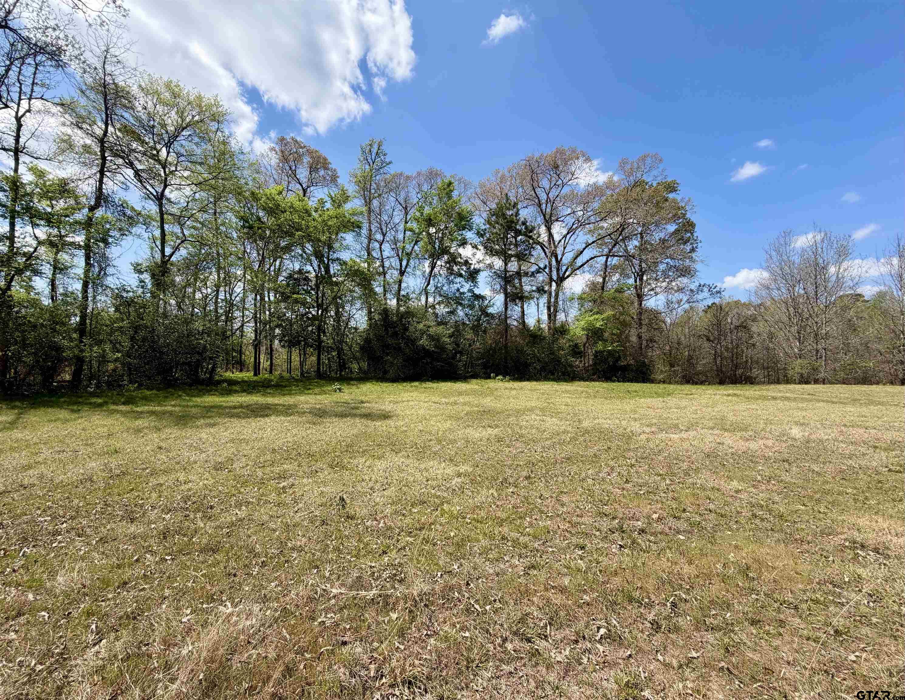 3001 W Marshall, TX 75670 - Photo 31 of 39 a view of backyard space