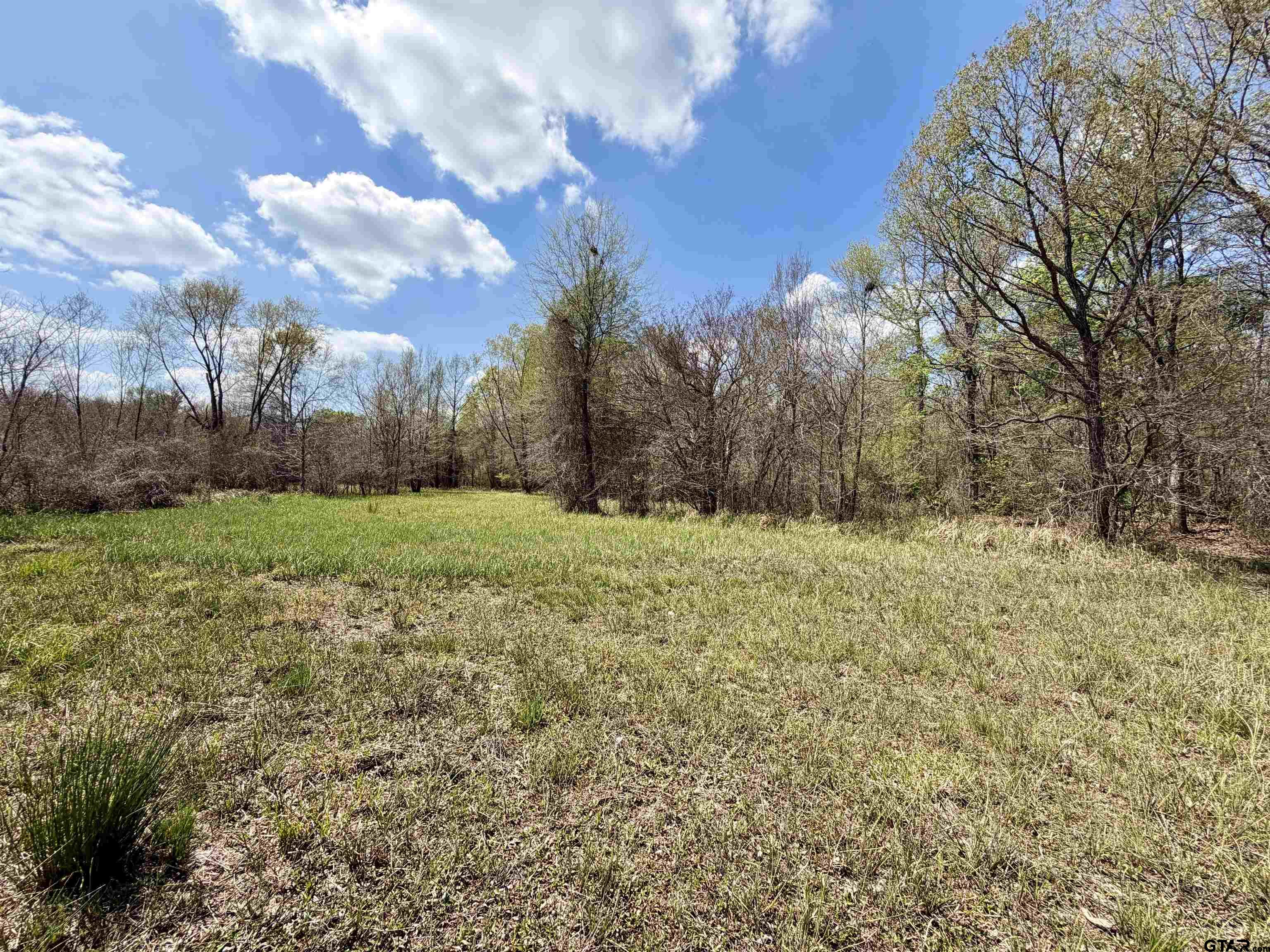 3001 W Marshall, TX 75670 - Photo 32 of 39 a view of a yard with large trees