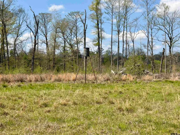 a view of backyard with trees