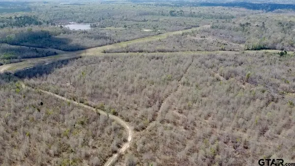 a view of a dry yard with trees
