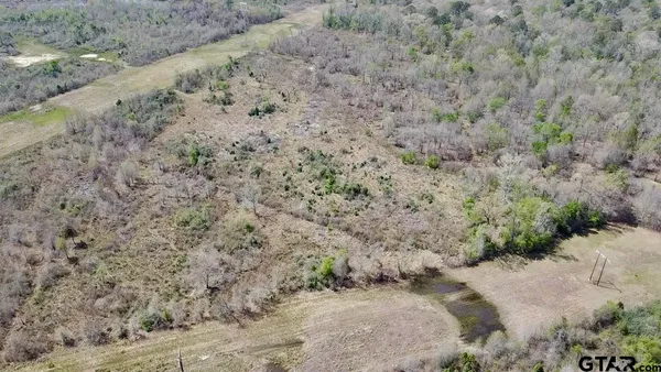a view of a dry yard