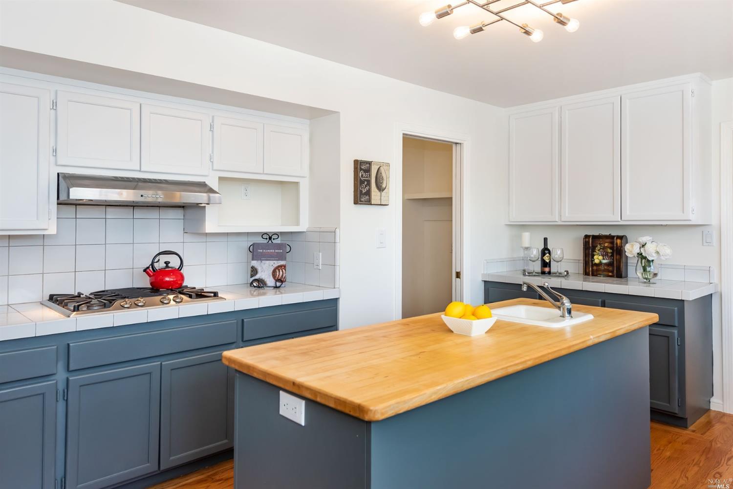 104 Bryan Drive Novato, CA 94945 - Photo 13 of 38 Kitchen has a large pantry.