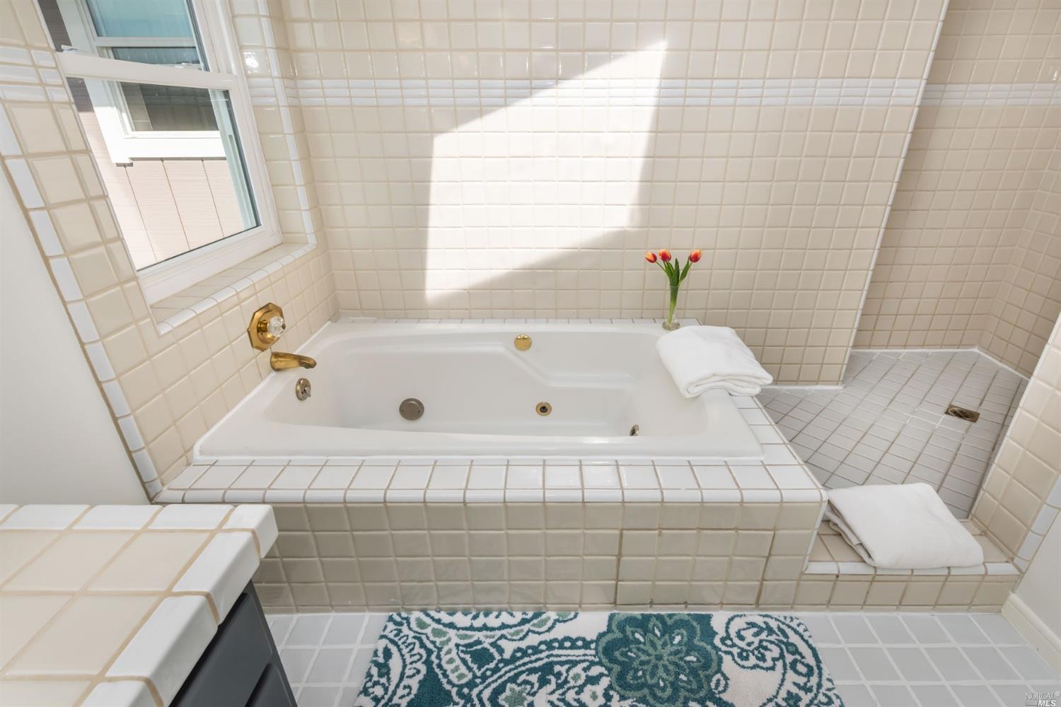 104 Bryan Drive Novato, CA 94945 - Photo 26 of 38 There is a large shower next to tub.