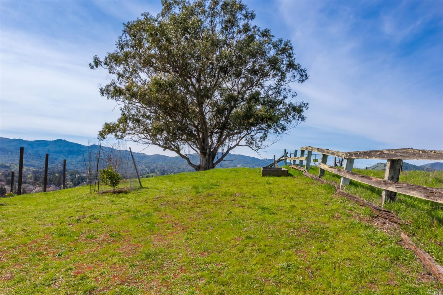 104 Bryan Drive Novato, CA 94945 - Photo 36 of 38 Behind the house enjoy a tranquil place to sit and look out at the view.