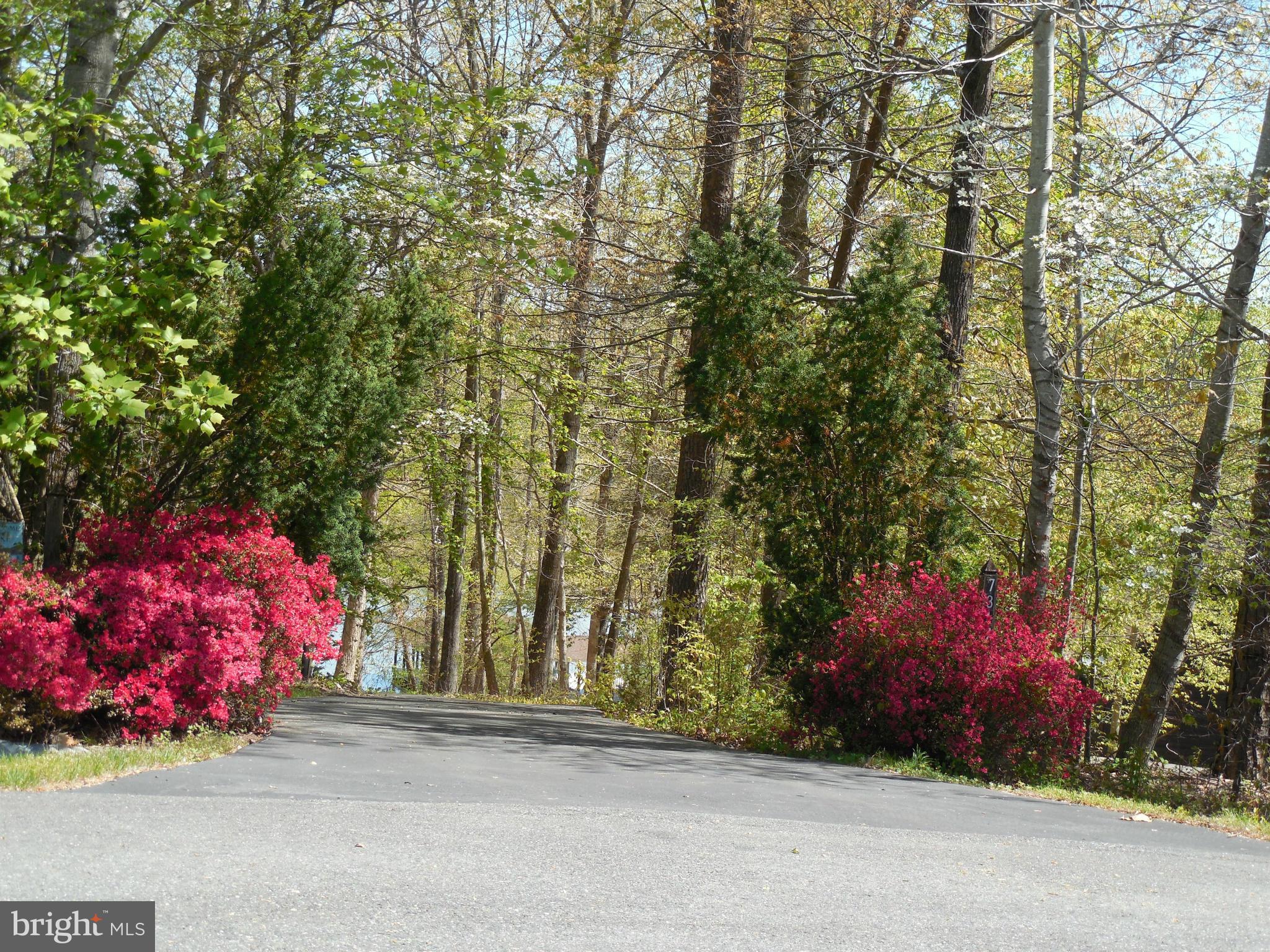 7317 Hidden Brook Road Orange, VA 22960 - Photo 17 of 17 Exterior (General)