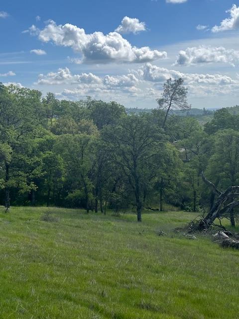 23 Wades Way Browns Valley, CA 95918 - Photo 3 of 3 a view of outdoor space and yard