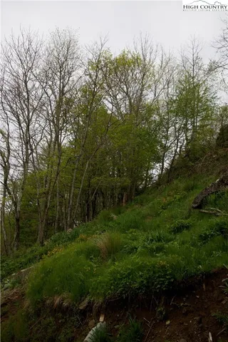 $3,200,000 | 27 Fox Run Road, Banner Elk, NC 28604