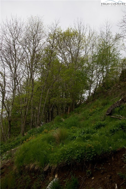 27 Fox Run Road Banner Elk, NC 28604 - Photo 5 of 8