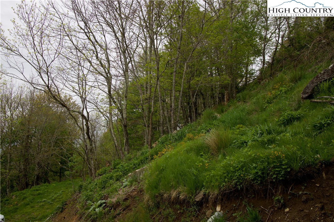 27 Fox Run Road Banner Elk, NC 28604 - Photo 6 of 8