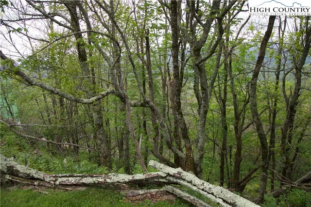 $3,200,000 | 27 Fox Run Road, Banner Elk, NC 28604